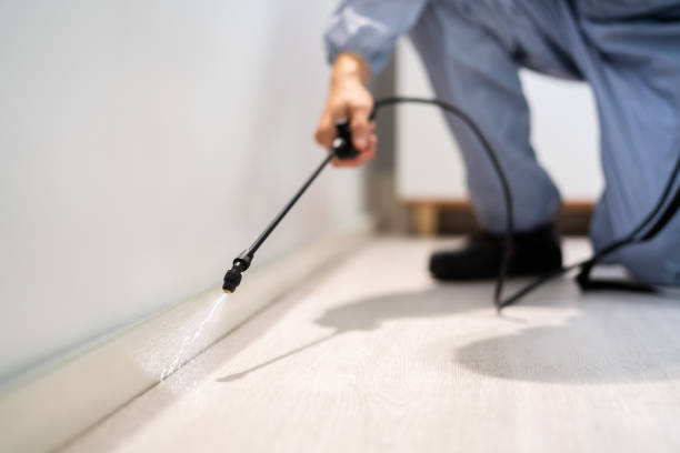 Licensed Pest Control service in Driggs, ID - Show Me Pest Control